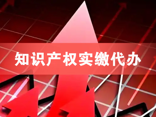 亳州知识产权实缴资本代办